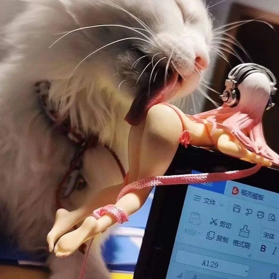 matthewkit