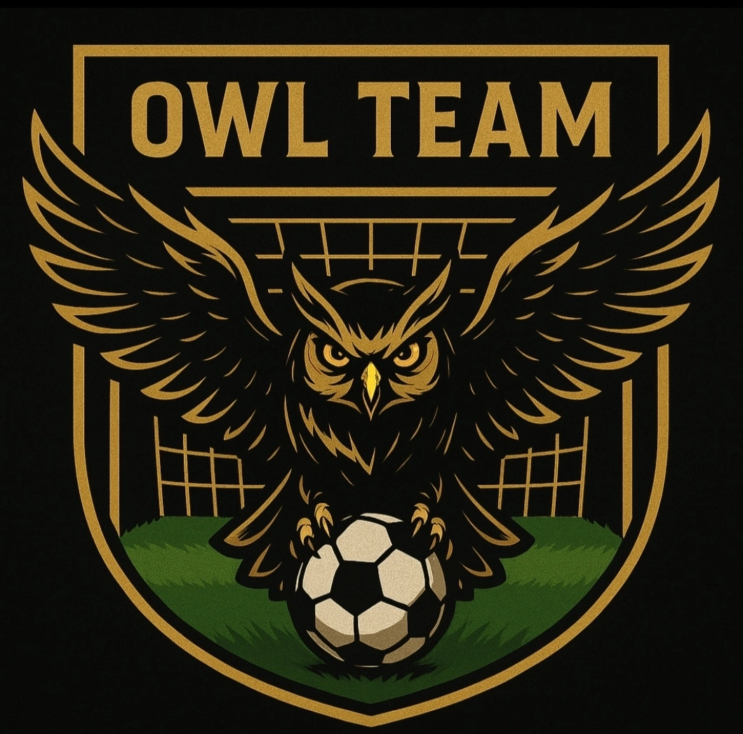 OWL TEAM