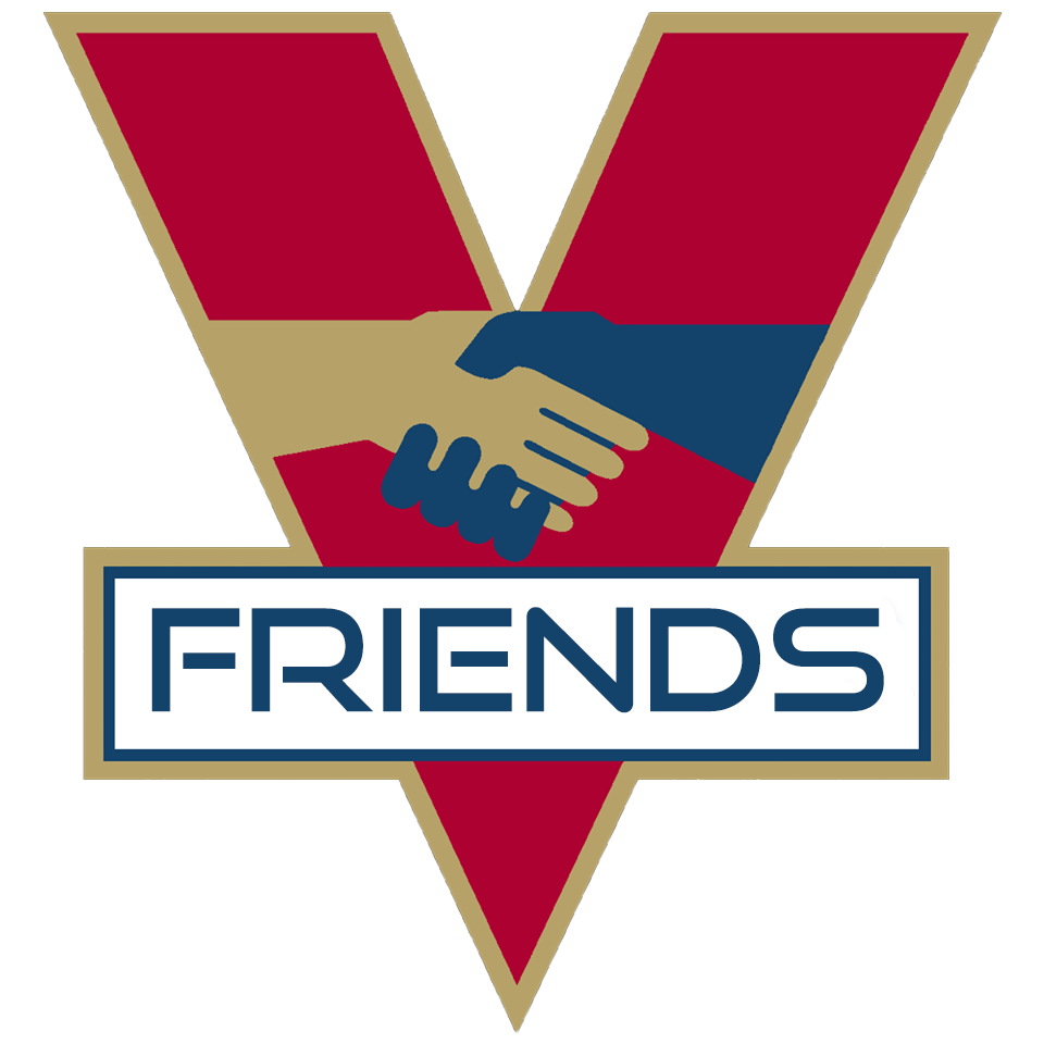 VnFriends
